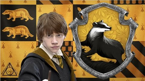 ron hufflepuff 2