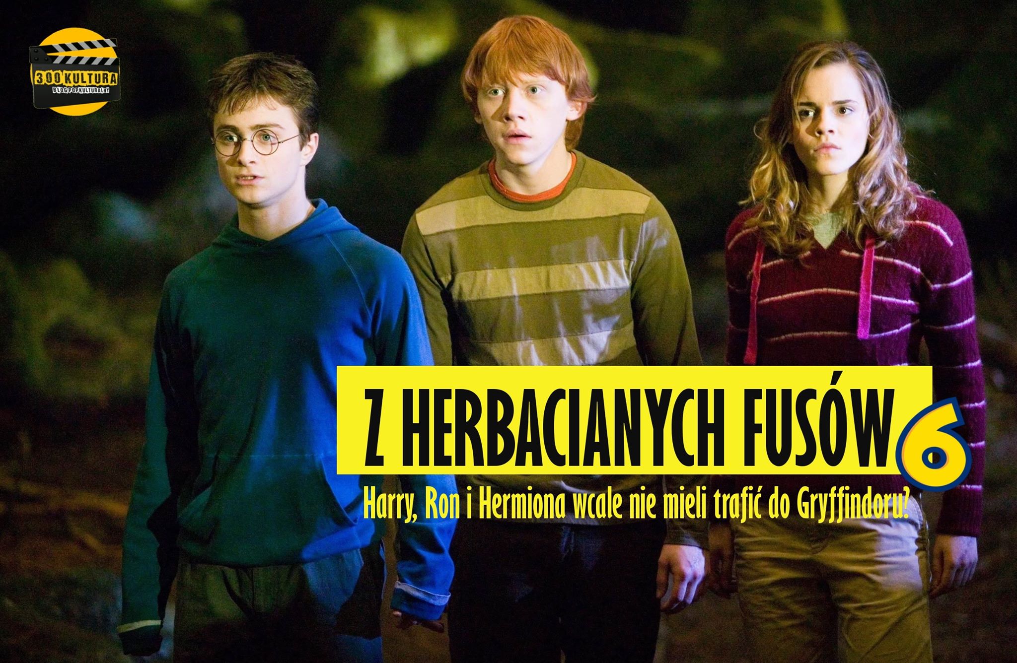 harry, ron i hermiona 3